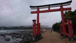 aoshima-jinja-torii