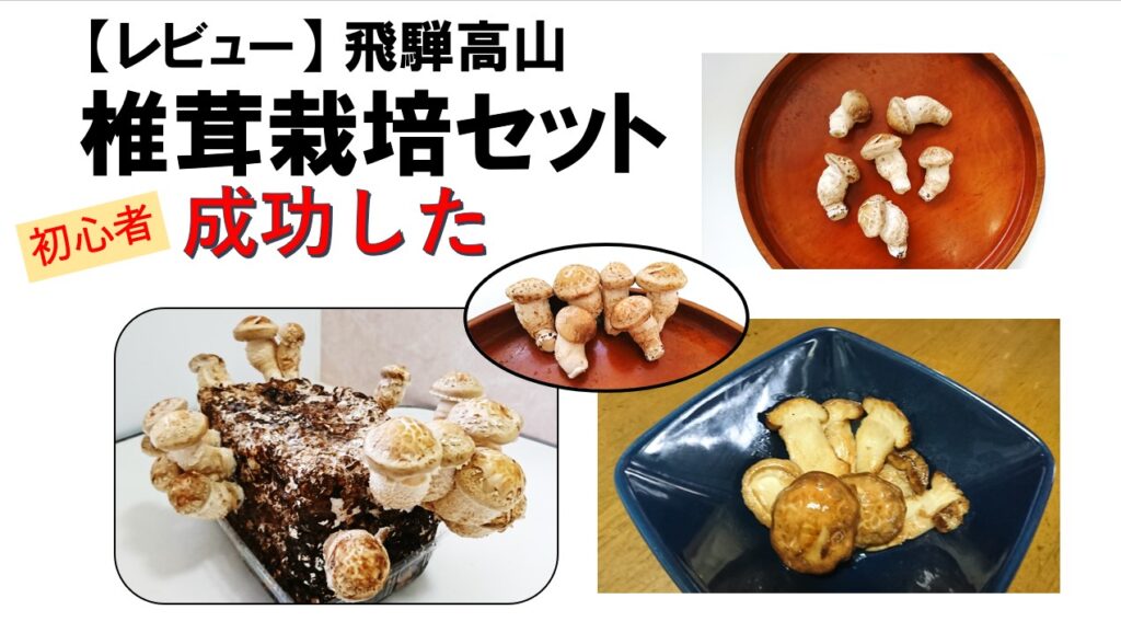 review-hida-takayama-shiitake-kit